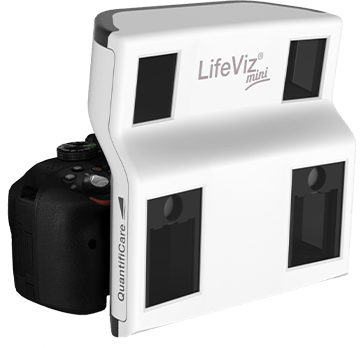 lifeviz