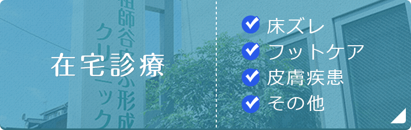 在宅診療　訪問診療・訪問看護・訪問リハ・その他